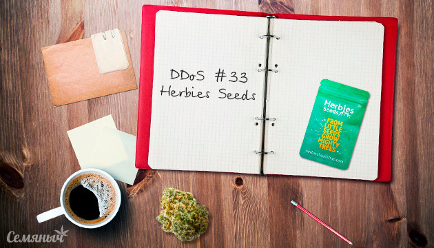 Гроурепорт сорта DDoS #33