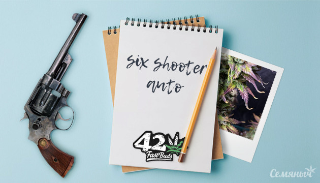 Гроурепорт сорта Six Shooter auto